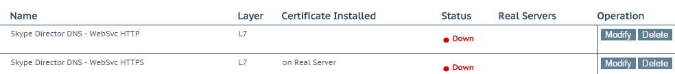 Director DNS_1.png
